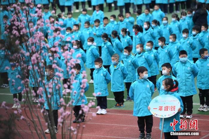 幼儿园不得设学前班、一年级设适应期……教育部发重磅文件