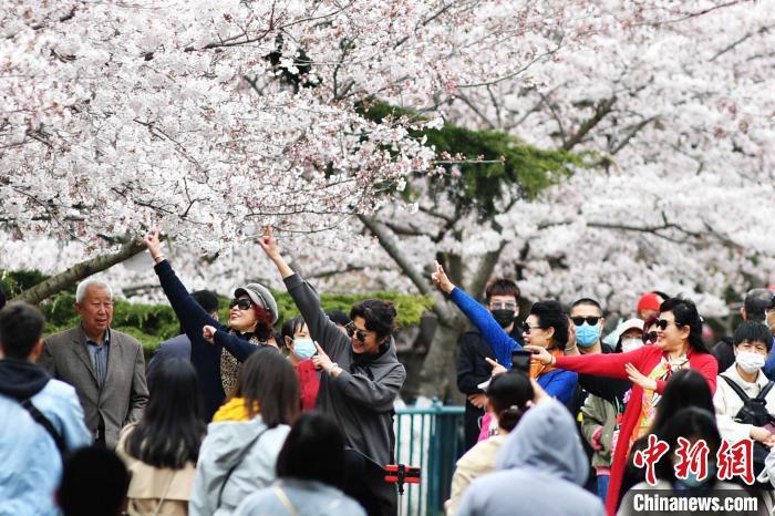 “人从众”再现！清明假期1.02亿人次出游