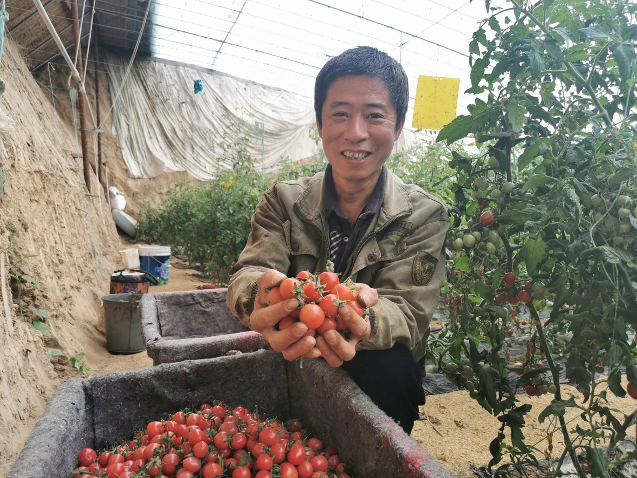 村子振兴怎么干？“三化融合”的玉皇庙探索