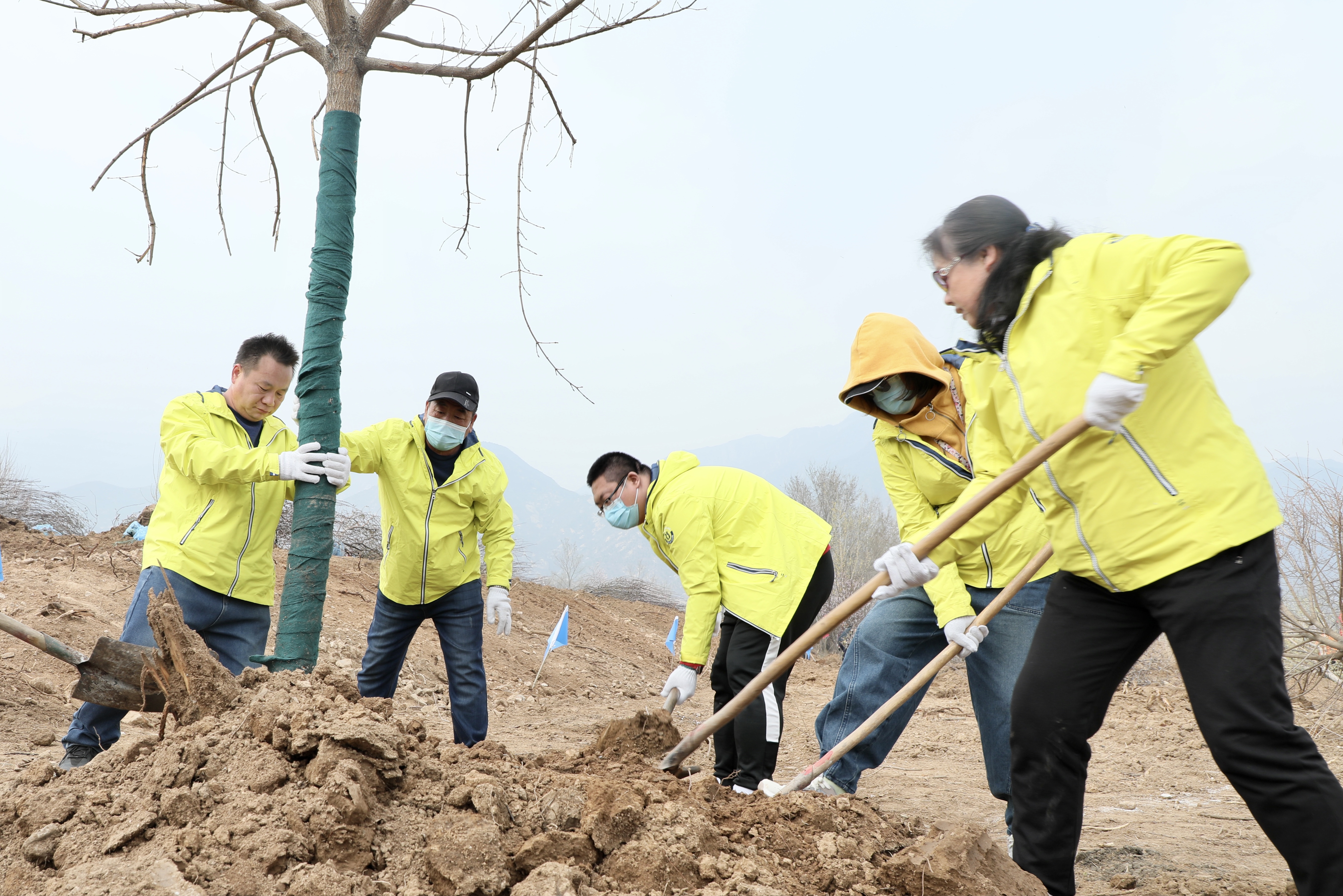 建设最美冬奥城，北京延庆开展第37个首都义务植树日活动