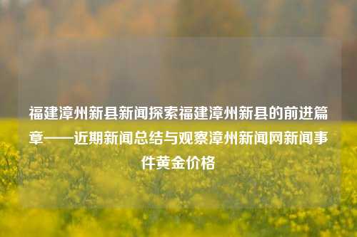 福建漳州新县新闻探索福建漳州新县的前进篇章——近期新闻总结与观察漳州新闻网新闻事件黄金价格