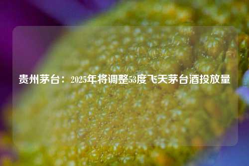 贵州茅台：2025年将调整53度飞天茅台酒投放量