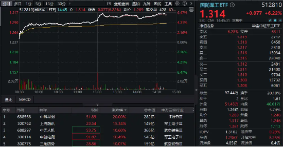 大飞哥 第208页