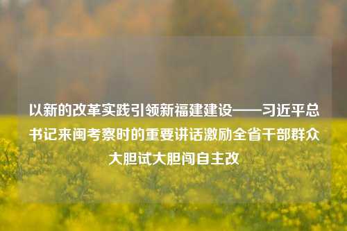 以新的改革实践引领新福建建设——习近平总书记来闽考察时的重要讲话激励全省干部群众大胆试大胆闯自主改