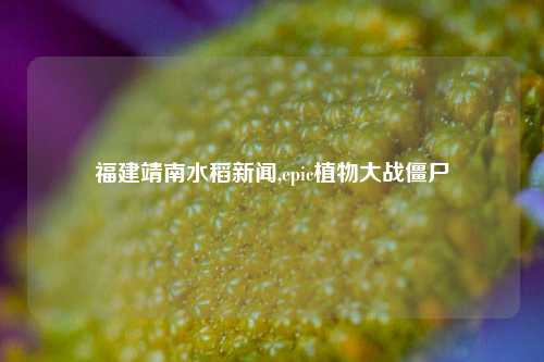 福建靖南水稻新闻,epic植物大战僵尸