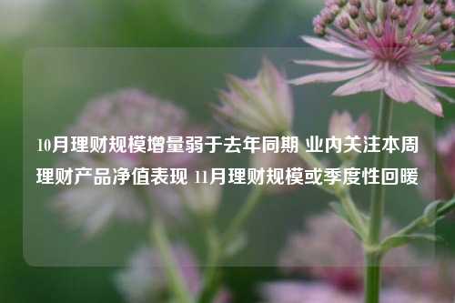 10月理财规模增量弱于去年同期 业内关注本周理财产品净值表现 11月理财规模或季度性回暖