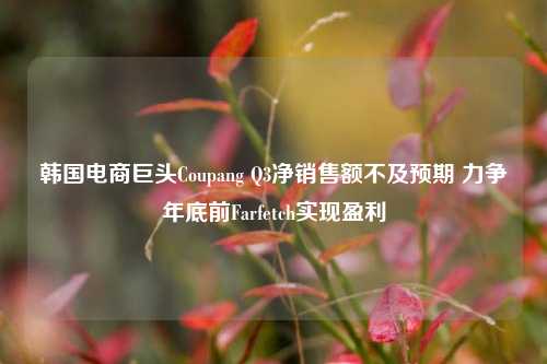 韩国电商巨头Coupang Q3净销售额不及预期 力争年底前Farfetch实现盈利