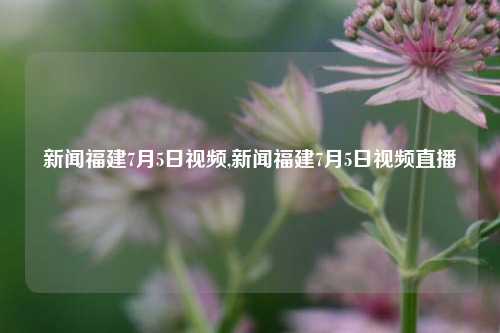 新闻福建7月5日视频,新闻福建7月5日视频直播