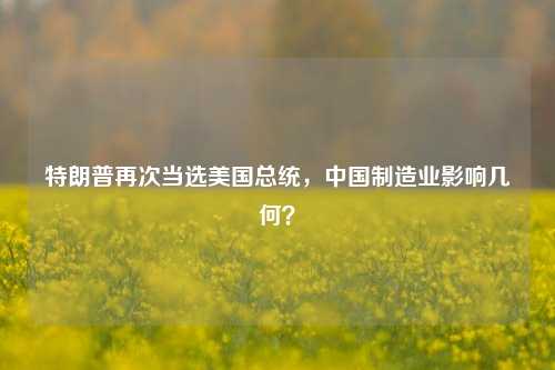 特朗普再次当选美国总统，中国制造业影响几何？