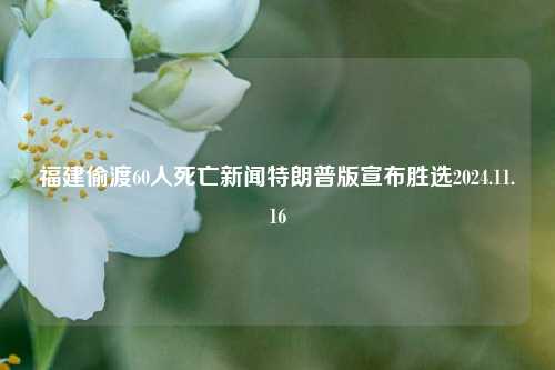 福建偷渡60人死亡新闻特朗普版宣布胜选2024.11.16