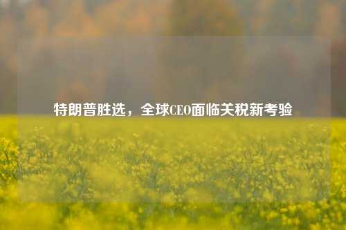 特朗普胜选，全球CEO面临关税新考验