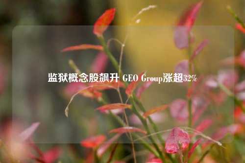 监狱概念股飙升 GEO Group涨超32%