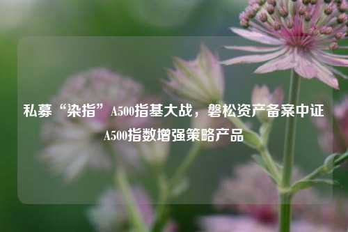 私募“染指”A500指基大战，磐松资产备案中证A500指数增强策略产品