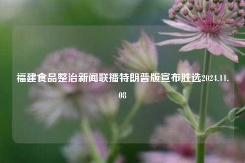 福建食品整治新闻联播特朗普版宣布胜选2024.11.08