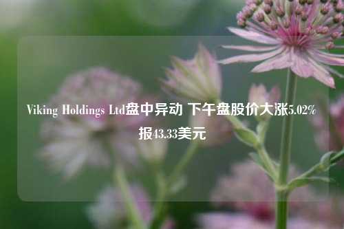 Viking Holdings Ltd盘中异动 下午盘股价大涨5.02%报43.33美元