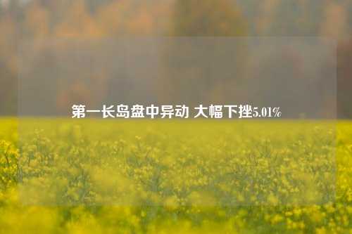 第一长岛盘中异动 大幅下挫5.01%