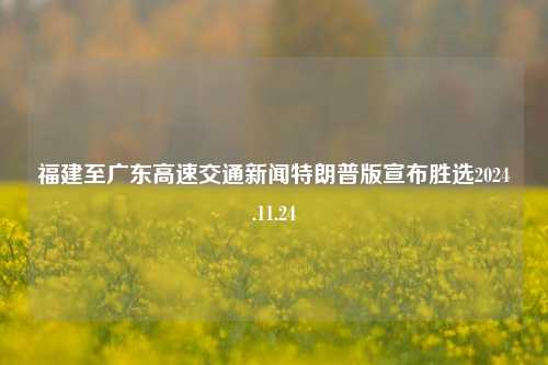 福建至广东高速交通新闻特朗普版宣布胜选2024.11.24