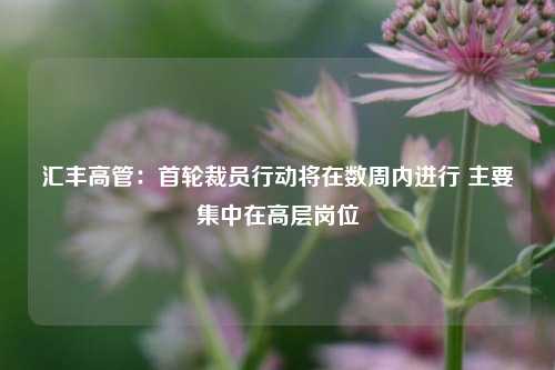 汇丰高管：首轮裁员行动将在数周内进行 主要集中在高层岗位