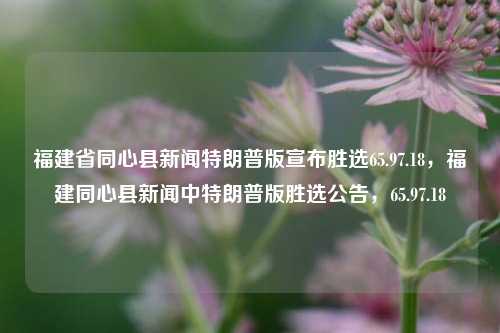 福建省同心县新闻特朗普版宣布胜选65.97.18，福建同心县新闻中特朗普版胜选公告，65.97.18，福建同心县新闻头条，特朗普版胜选公告（65.97.18）的盛况大揭秘