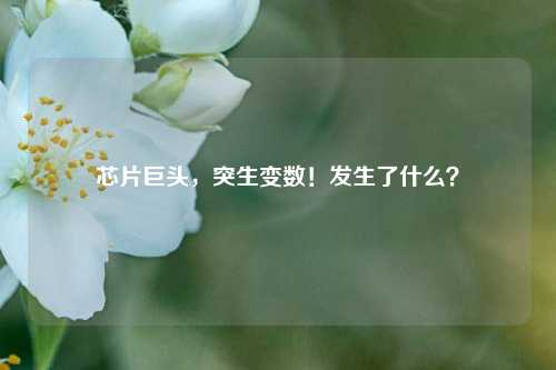 芯片巨头，突生变数！发生了什么？