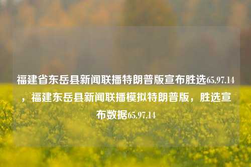 福建省东岳县新闻联播特朗普版宣布胜选65.97.14，福建东岳县新闻联播模拟特朗普版，胜选宣布数据65.97.14，福建省东岳县特制的特朗普胜选版本，数据解析为65.97.14的选民获胜宣誓之夜