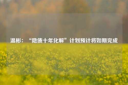 温彬：“隐债十年化解”计划预计将如期完成