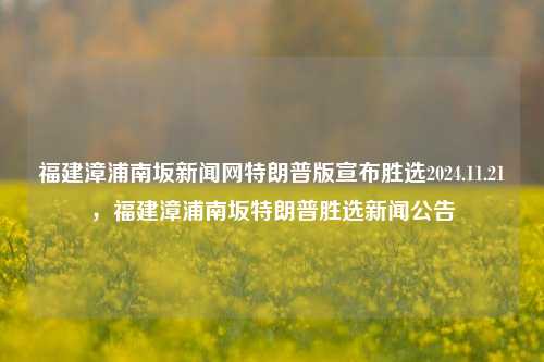 福建漳浦南坂新闻网特朗普版宣布胜选2024.11.21，福建漳浦南坂特朗普胜选新闻公告，福建漳浦南坂新闻网发布，特朗普版胜选公告，2024年11月21日