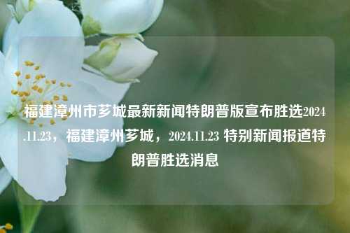 福建漳州市芗城最新新闻特朗普版宣布胜选2024.11.23，福建漳州芗城，2024.11.23 特别新闻报道特朗普胜选消息，福建漳州市芗城区特别新闻，2024年11月23日特朗普胜选公告发布