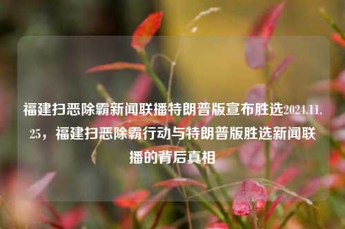 福建扫恶除霸新闻联播特朗普版宣布胜选2024.11.25，福建扫恶除霸行动与特朗普版胜选新闻联播的背后真相，福建扫恶除霸行动与特朗普版胜选新闻联播背后的真相