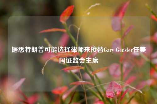 据悉特朗普可能选择律师来接替Gary Gensler任美国证监会主席