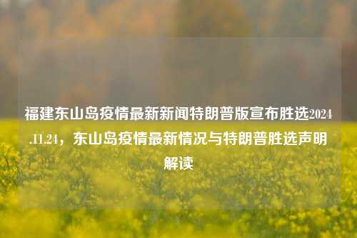 福建东山岛疫情最新新闻特朗普版宣布胜选2024.11.24，东山岛疫情最新情况与特朗普胜选声明解读，福建东山岛疫情最新情况与特朗普胜选声明的解读