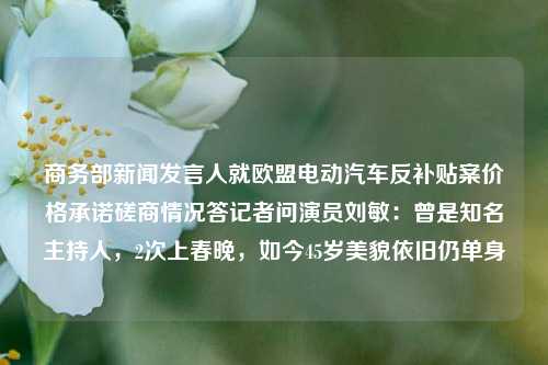 商务部新闻发言人就欧盟电动汽车反补贴案价格承诺磋商情况答记者问演员刘敏：曾是知名主持人，2次上春晚，如今45岁美貌依旧仍单身