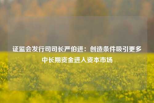 证监会发行司司长严伯进：创造条件吸引更多中长期资金进入资本市场