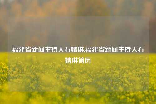 福建省新闻主持人石婧琳,福建省新闻主持人石婧琳简历