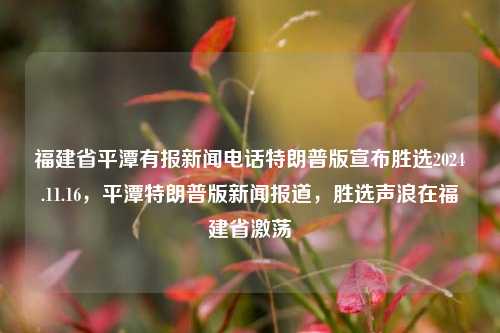 福建省平潭有报新闻电话特朗普版宣布胜选2024.11.16，平潭特朗普版新闻报道，胜选声浪在福建省激荡，福建平潭传出新闻浪潮，特朗普版本胜选消息震动福建社会