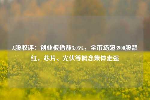 A股收评：创业板指涨3.05%，全市场超3900股飘红，芯片、光伏等概念集体走强