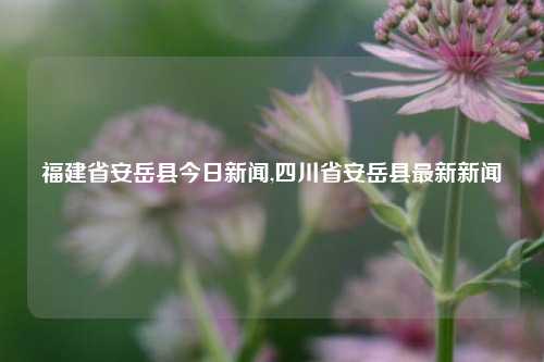 福建省安岳县今日新闻,四川省安岳县最新新闻