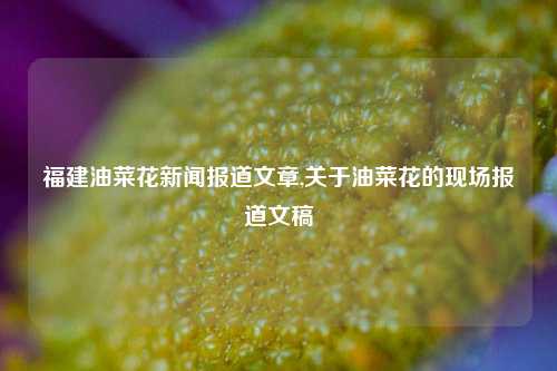 福建油菜花新闻报道文章,关于油菜花的现场报道文稿