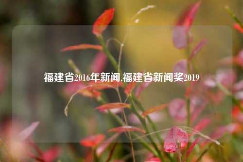 福建省2016年新闻,福建省新闻奖2019