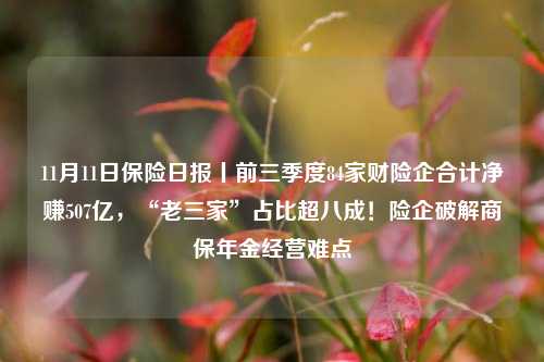 11月11日保险日报丨前三季度84家财险企合计净赚507亿，“老三家”占比超八成！险企破解商保年金经营难点