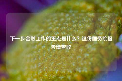 下一步金融工作的重点是什么？这份国务院报告请查收