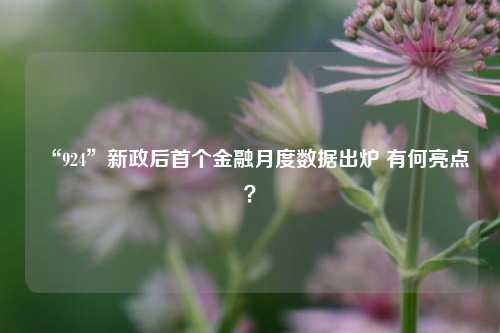 “924”新政后首个金融月度数据出炉 有何亮点？