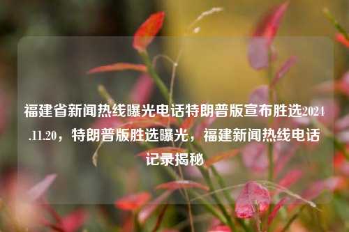 福建省新闻热线曝光电话特朗普版宣布胜选2024.11.20，特朗普版胜选曝光，福建新闻热线电话记录揭秘，福建新闻热线揭秘，特朗普版胜选曝光电话记录