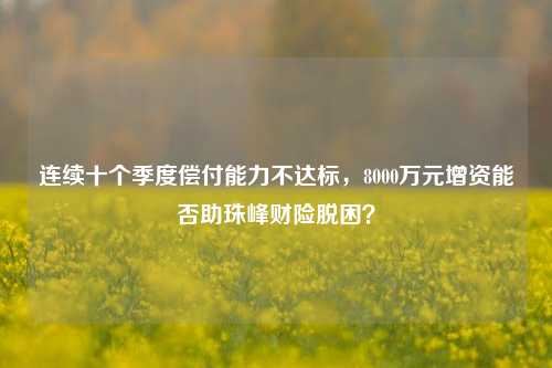 连续十个季度偿付能力不达标，8000万元增资能否助珠峰财险脱困？