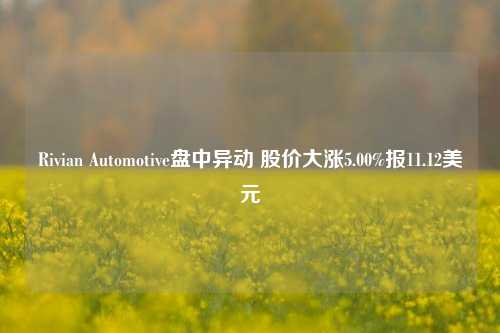 Rivian Automotive盘中异动 股价大涨5.00%报11.12美元