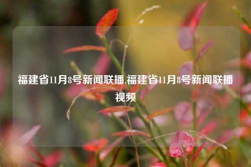 福建省11月8号新闻联播,福建省11月8号新闻联播视频