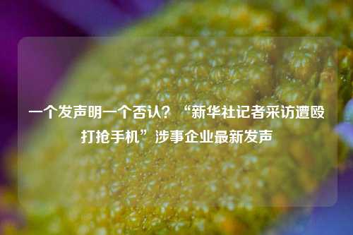 一个发声明一个否认？“新华社记者采访遭殴打抢手机”涉事企业最新发声