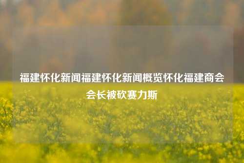 福建怀化新闻福建怀化新闻概览怀化福建商会会长被砍赛力斯