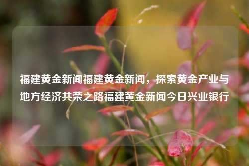 福建黄金新闻福建黄金新闻，探索黄金产业与地方经济共荣之路福建黄金新闻今日兴业银行