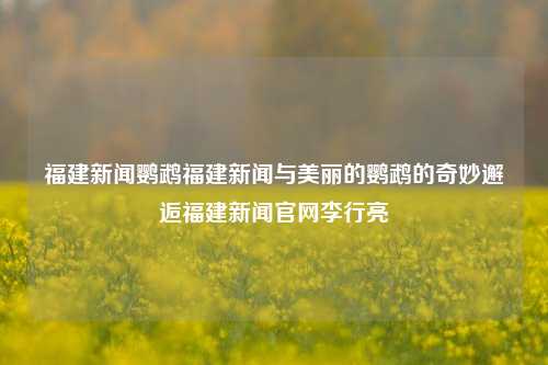 福建新闻鹦鹉福建新闻与美丽的鹦鹉的奇妙邂逅福建新闻官网李行亮